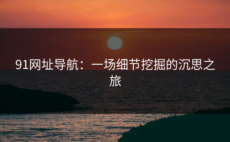 91网址导航：一场细节挖掘的沉思之旅